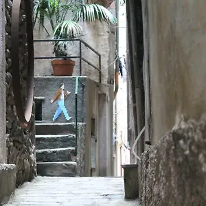 Guardando Le Stelle Appartamento Vernazza